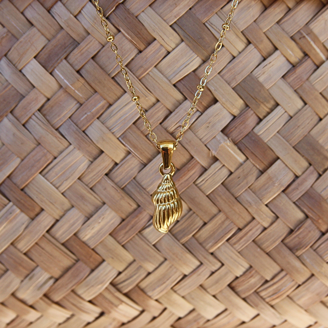 MARINA SHELL NECKLACE