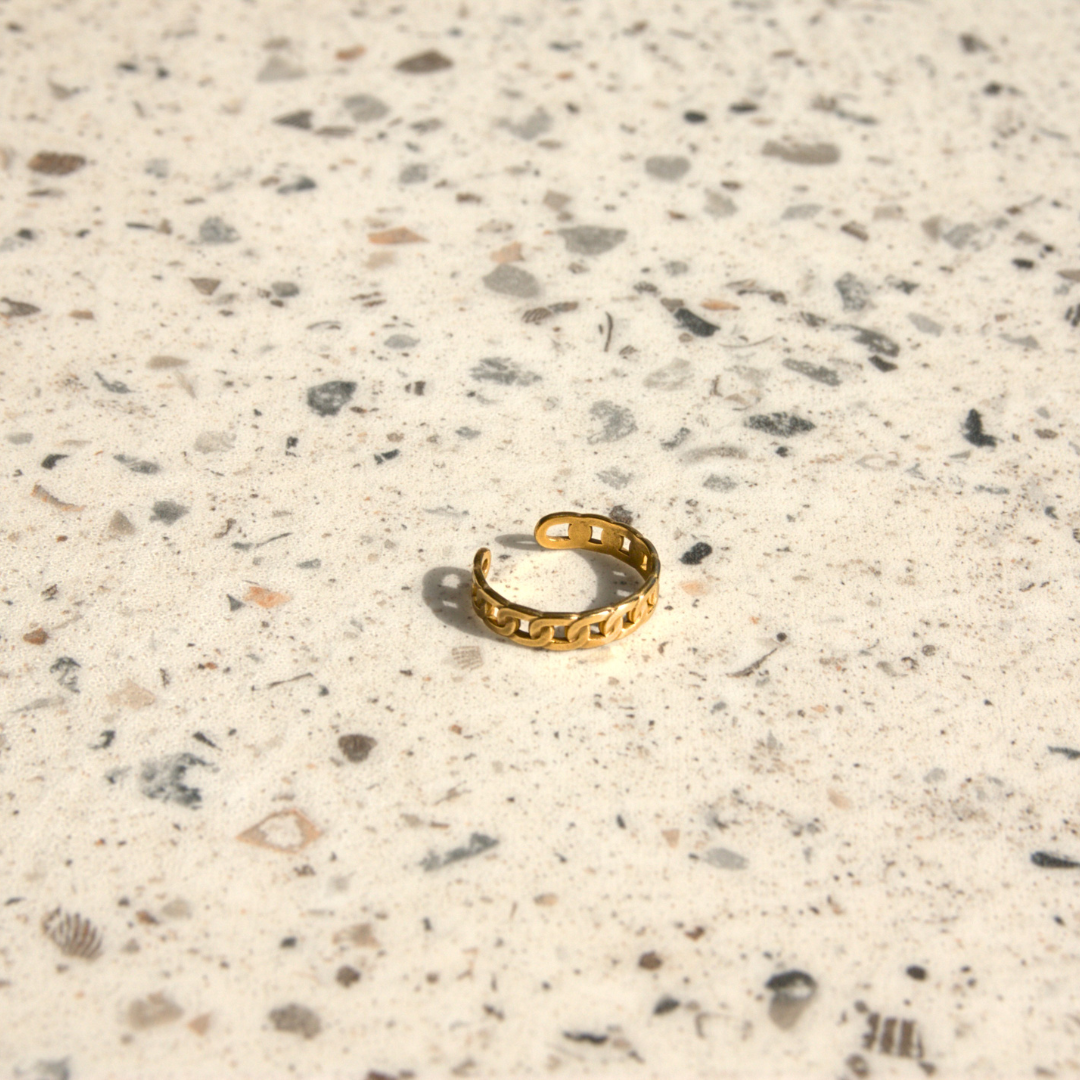 CHAIN RING
