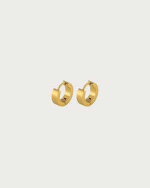 GOLDEN HOOPS EARRINGS